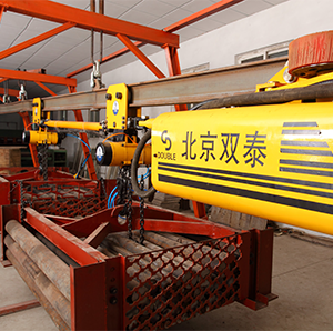 Pneumatic Monorail Crane